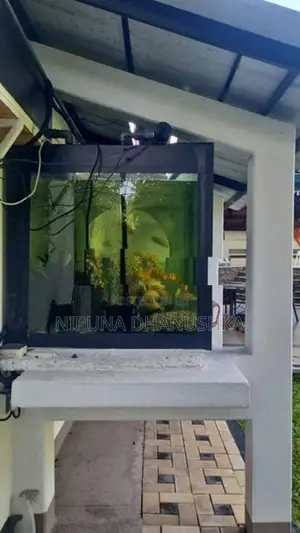 Fish Tank