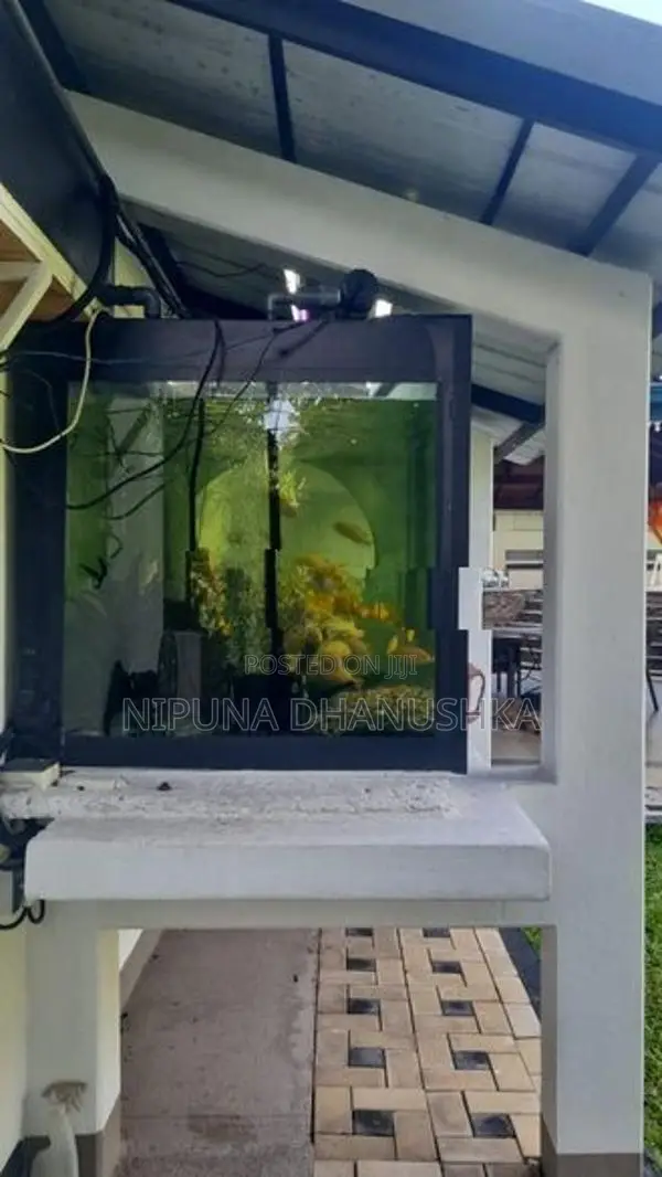 Fish Tank