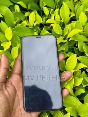 Apple iPhone 11 Pro (Used)