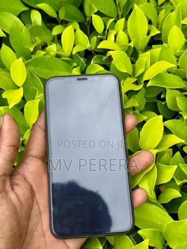 Apple iPhone 11 Pro (Used)