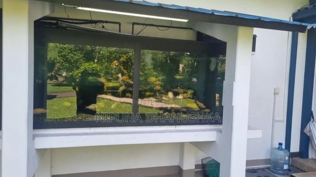 Fish Tank