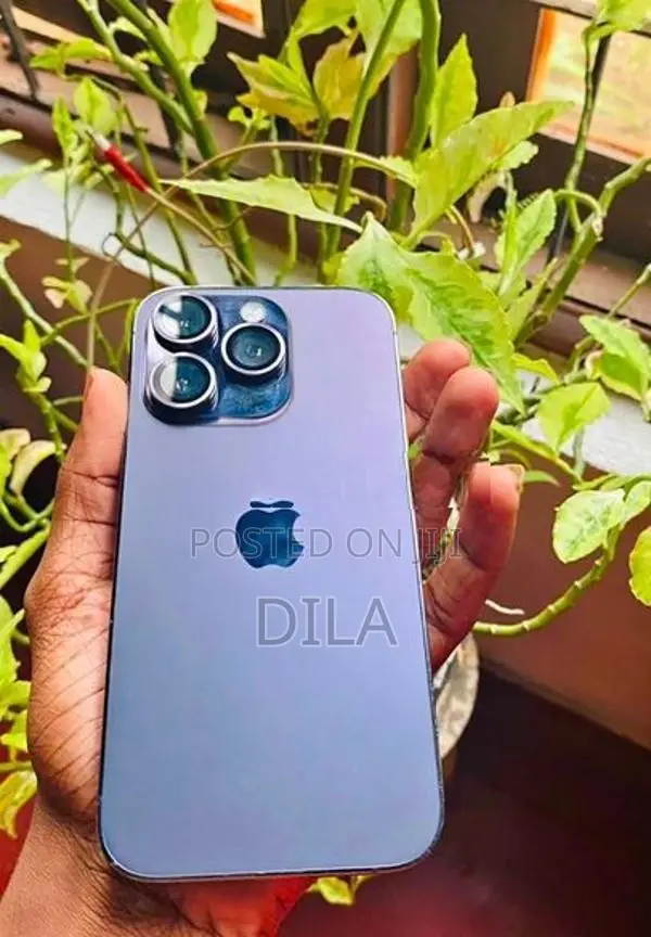 Apple iPhone 14 Pro (Used)