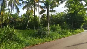 Land For Sale in Wennappuwa (18 Perches)