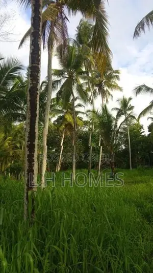 Land For Sale in Wennappuwa (18 Perches)
