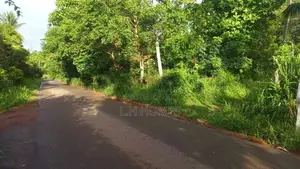 Land For Sale in Wennappuwa (18 Perches)