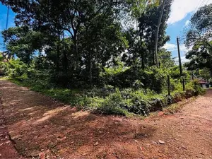 Residential Land for Sale Kadukanna