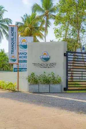 Valuable Land For Sale In Piliyandala 296 Bus Road 100M