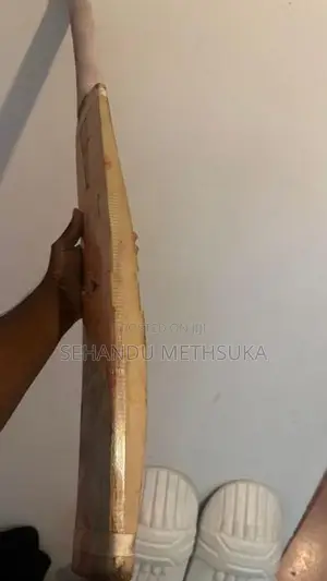 SG Cricket Bat