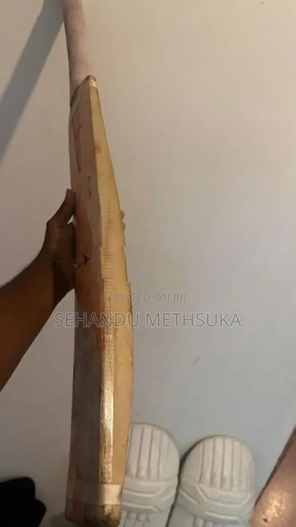 SG Cricket Bat