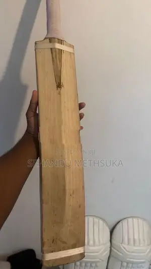 SG Cricket Bat