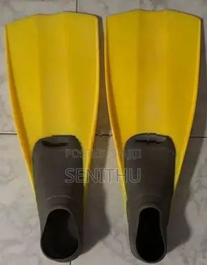 Swimming Fins