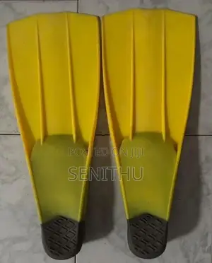 Swimming Fins