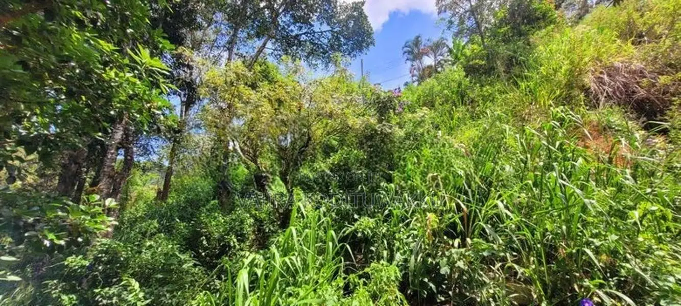 Diyatalawa මනරම් කදු වලල්ලකින් වටවු පර්චස් 185ක ඉඩම සහිත නිවස