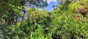 Diyatalawa මනරම් කදු වලල්ලකින් වටවු පර්චස් 185ක ඉඩම සහිත නිවස