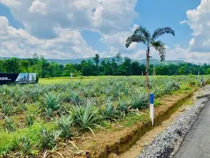 ඇහැලියගොඩින් ඉඩම