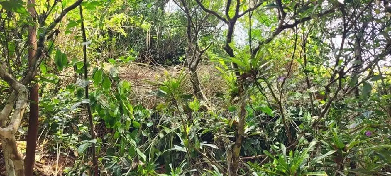 Diyatalawa මනරම් කදු වලල්ලකින් වටවු පර්චස් 185ක ඉඩම සහිත නිවස