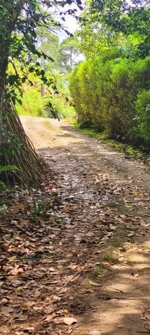 Diyatalawa මනරම් කදු වලල්ලකින් වටවු පර්චස් 185ක ඉඩම සහිත නිවස