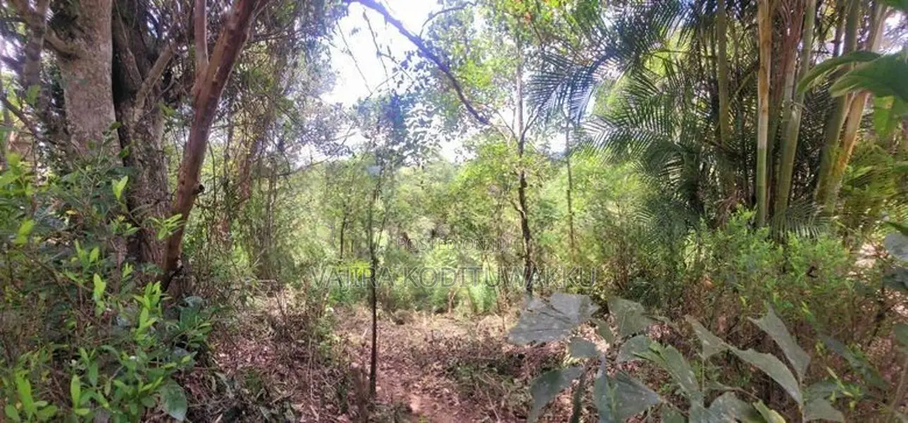 Diyatalawa මනරම් කදු වලල්ලකින් වටවු පර්චස් 185ක ඉඩම සහිත නිවස