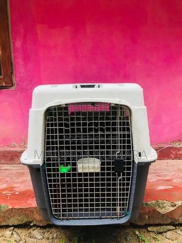 Portable Travel Cage
