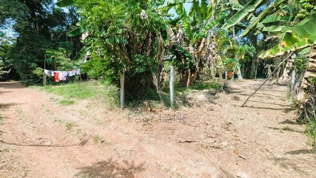 යක්කල නගරයට ඇවිද යන දුරින්