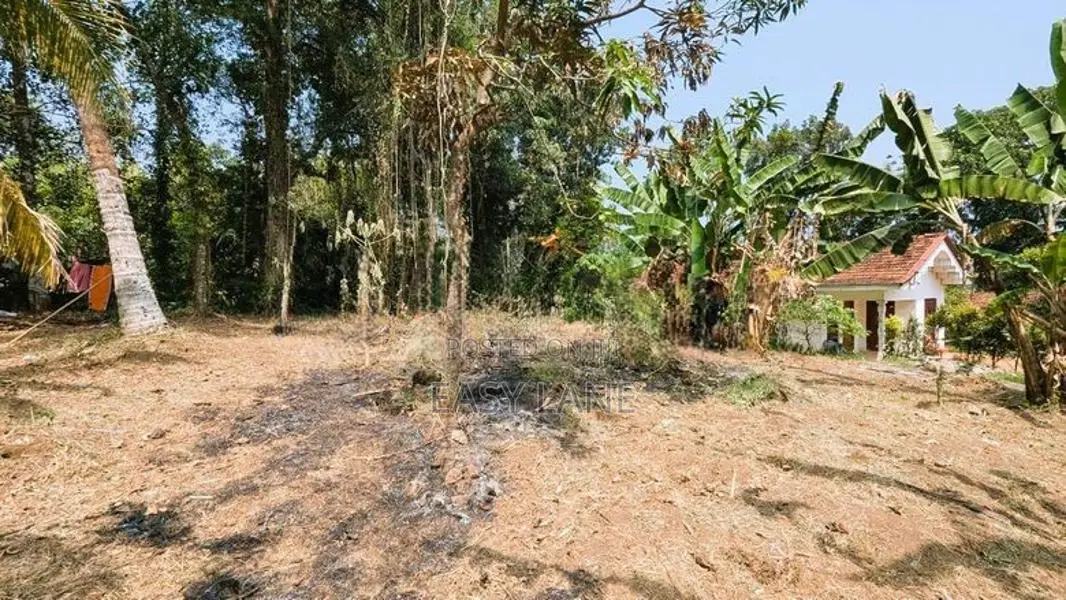 යක්කල නගරයට ඇවිද යන දුරින්