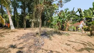 යක්කල නගරයට ඇවිද යන දුරින්