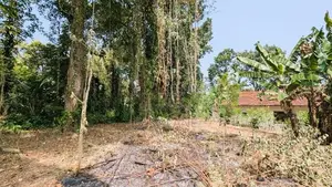 යක්කල නගරයට ඇවිද යන දුරින්