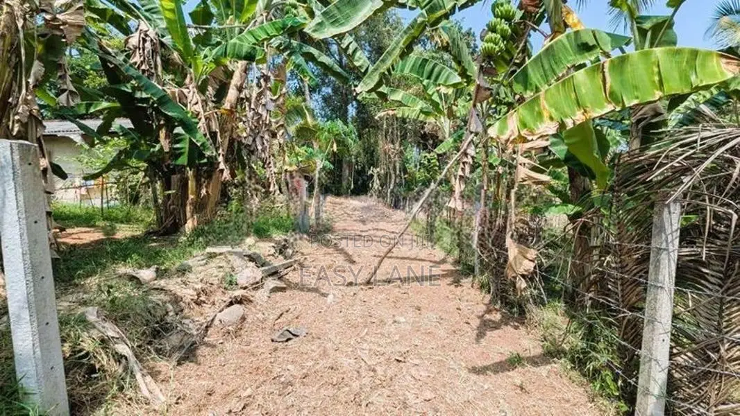 යක්කල නගරයට ඇවිද යන දුරින්