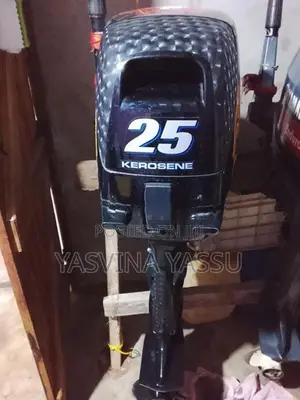 Suzuki Boat Engine 25