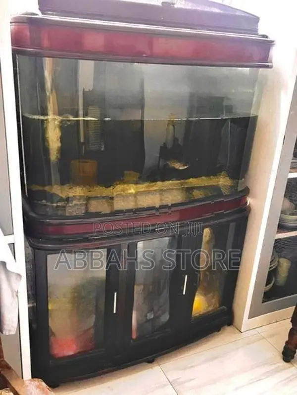 Fish Tank 3.5ft Imported
