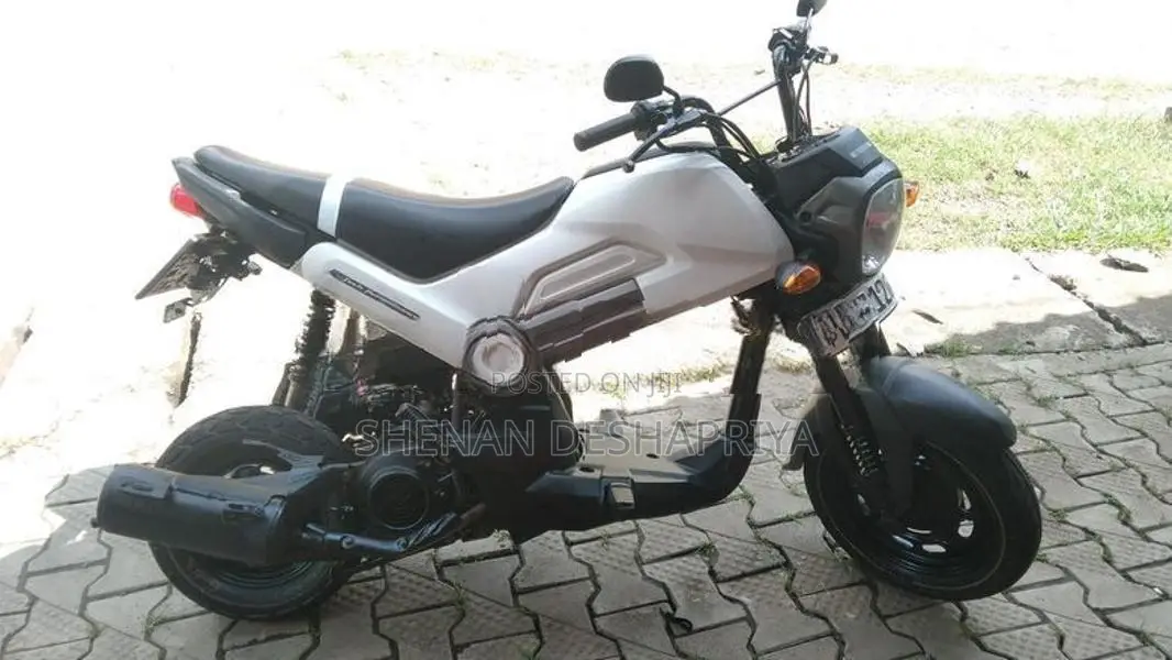 Honda Navi 2019