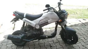 Honda Navi 2019