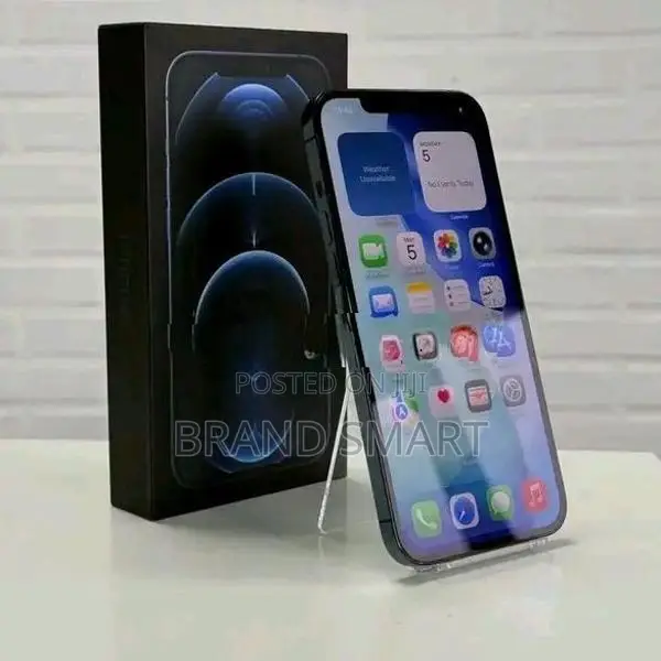 Apple iPhone 12 Pro Max (Used)