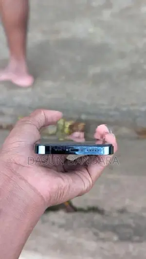 Apple iPhone 12 Pro (Used)