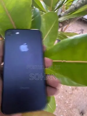 Apple iPhone 7 (Used)