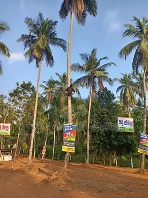 Land for Sale දිවුල්දේණිය