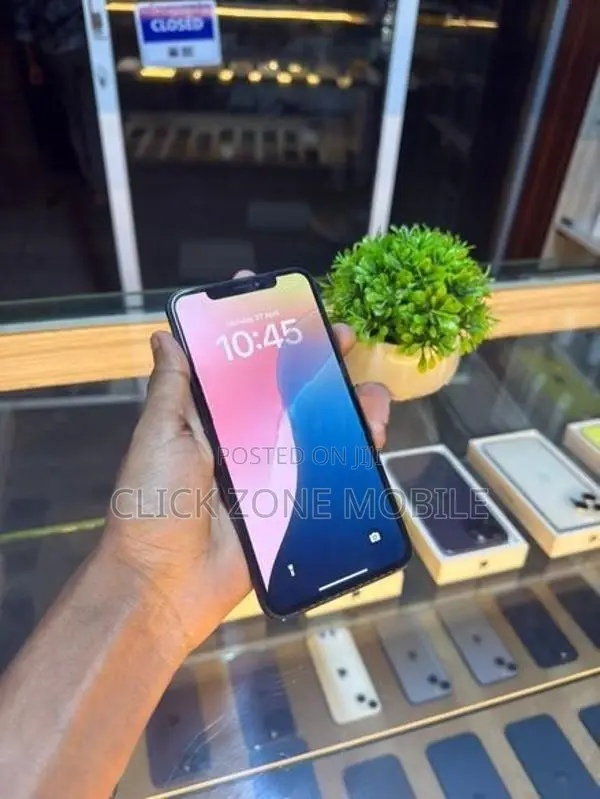Apple iPhone XS Max 256GB (Used)