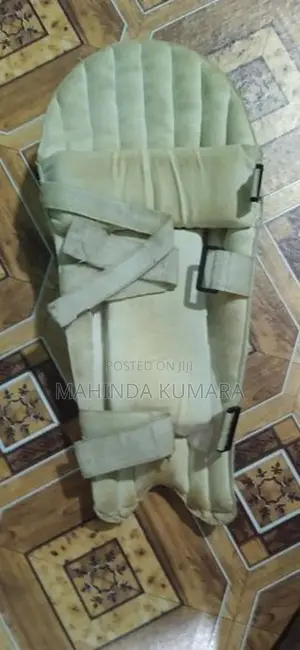 Cricket Pads with Helmet