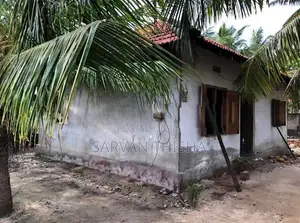 Land Sale மன்னார்