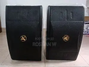 Bluetooth Karoke Sound System