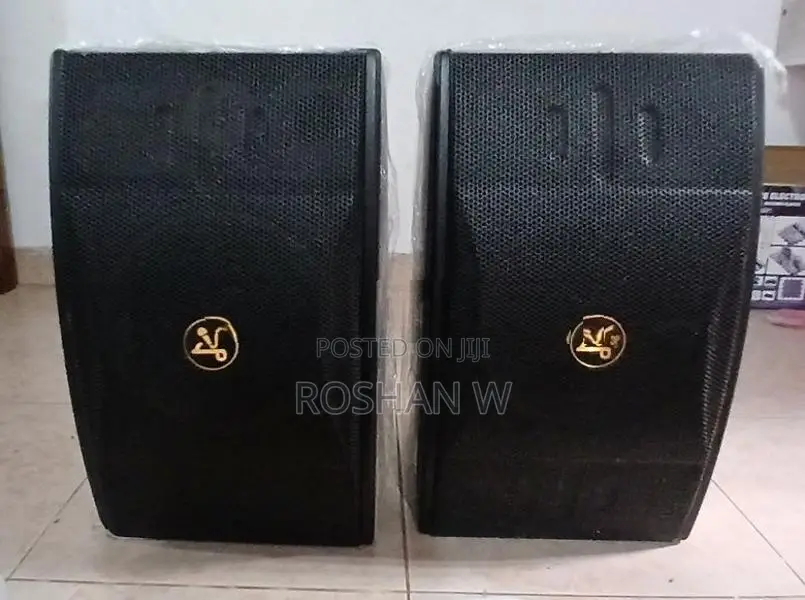 Bluetooth Karoke Sound System