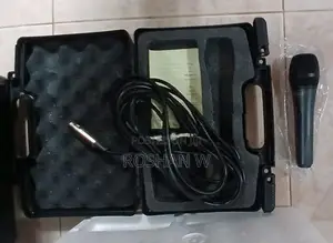 Bluetooth Karoke Sound System