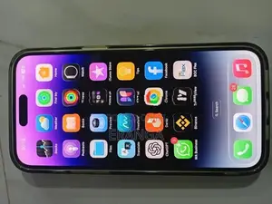 Apple iPhone 14 Pro Max 256GB (Used)