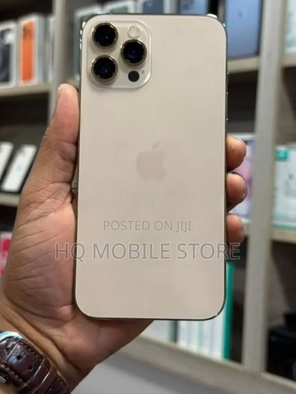Apple iPhone 12 Pro Max 256GB (Used)