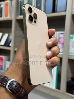 Apple iPhone 12 Pro Max 256GB (Used)
