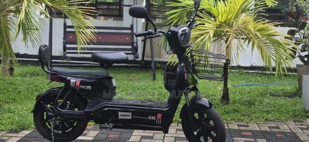 Electric Bike 2025