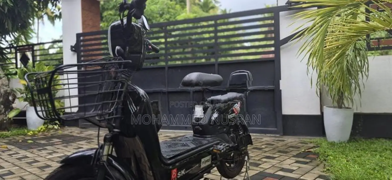 Electric Bike 2025