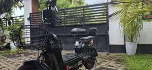 Electric Bike 2025