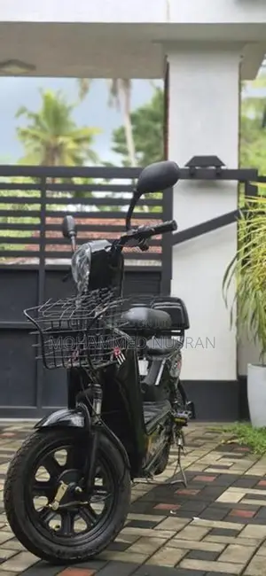 Electric Bike 2025