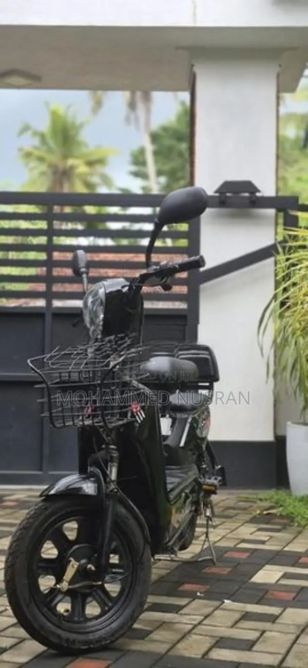 Electric Bike 2025